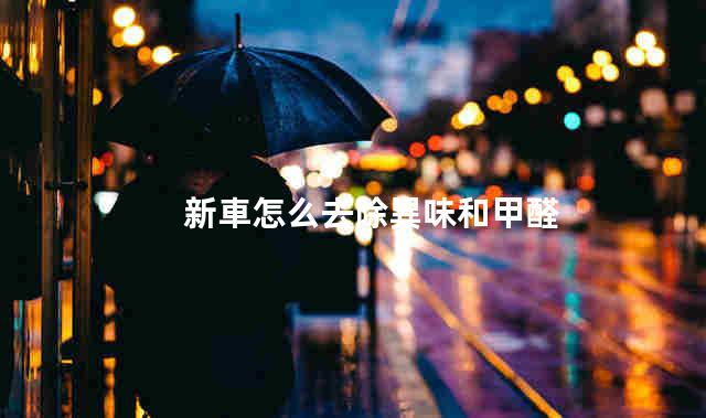 新車怎么去除異味和甲醛，新車除味除甲醛最徹底有效的方法